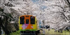 ベビーパーク岐阜県教室一覧