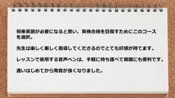 レッスンで使用する音声ペンは手軽に持ち運べて宿題にも便利です。
