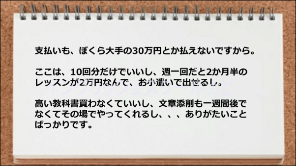 料金がリーズナブルな価格で文章添削もすぐに実施してくれて助かった