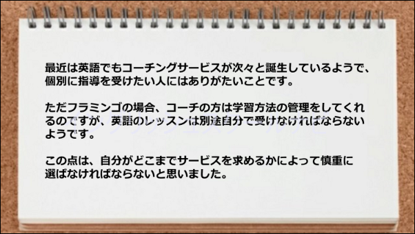 英語のレッスンは自分で実践しなければならないのが残念